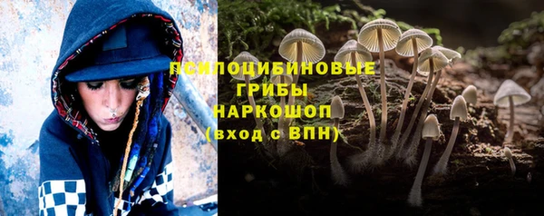 дживик Баксан