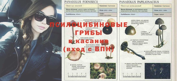 дживик Баксан