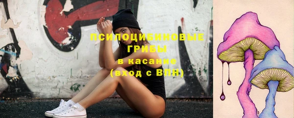 Альфа ПВП Балабаново