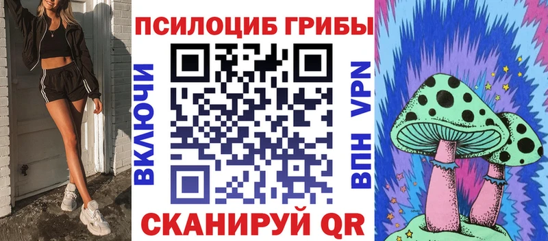 Купить где  Белореченск  Псилоцибиновые грибы Psilocybe 